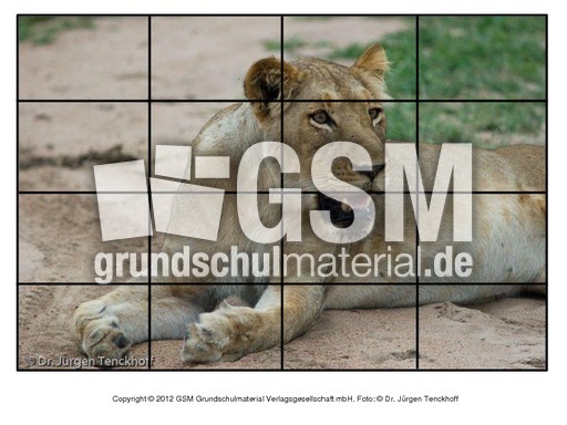 Puzzle-Löwe-3.pdf